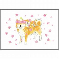 村田夏佳 ポストカード（しばいぬと桜）の画像