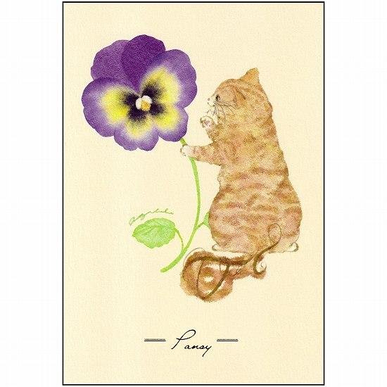metty bebe ポストカード（パンジー）画像