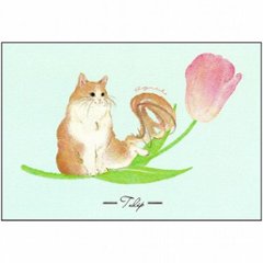 metty bebe ポストカード（チューリップ）の画像