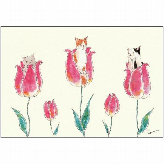 トコロコムギ ポストカード（おやゆび姫にゃんこ）画像