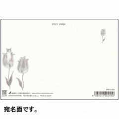 トコロコムギ ポストカード（おやゆび姫にゃんこ）画像