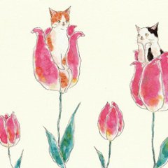 トコロコムギ ポストカード（おやゆび姫にゃんこ）画像