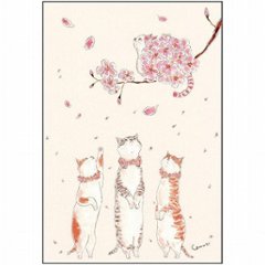 トコロコムギ ポストカード（あなたと桜を）の画像