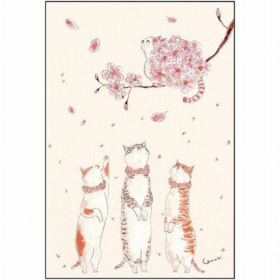 トコロコムギ ポストカード（あなたと桜を）画像