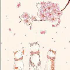 トコロコムギ ポストカード（あなたと桜を）画像