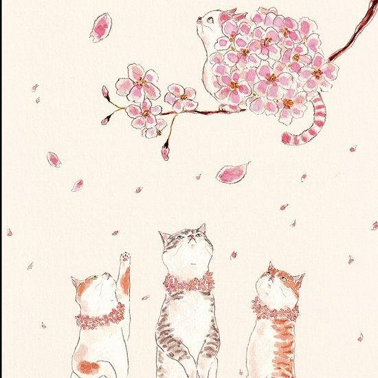 トコロコムギ ポストカード（あなたと桜を）画像