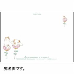 トコロコムギ×サンリオ　ポストカード（シナモロールとクッキーの妖精さんにゃんこ）画像