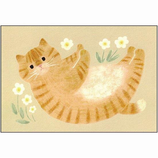4legs ポストカード（お腹なでて茶トラ猫）画像