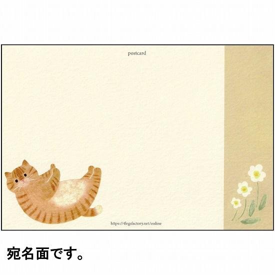 4legs ポストカード（お腹なでて茶トラ猫）画像