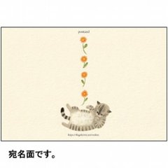 4legs ポストカード（お腹なでてサバトラ猫）画像