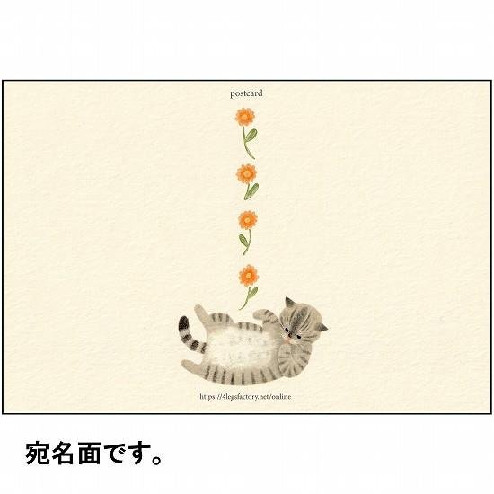 4legs ポストカード（お腹なでてサバトラ猫）画像