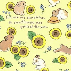 森山標子 ポストカード（あなたは太陽みたいな存在だから、ひまわりが似合うよ）画像