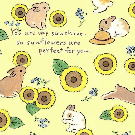 森山標子 ポストカード（あなたは太陽みたいな存在だから、ひまわりが似合うよ）画像