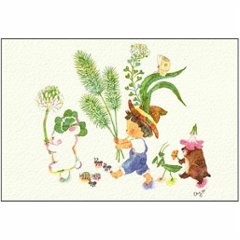 こばやしあや ポストカード（野花の行進）の画像
