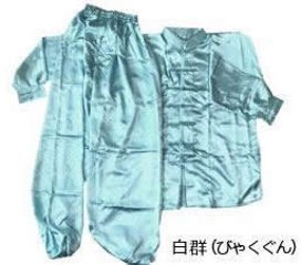 表演服・太極拳上下セット（長袖）：白群（びゃくぐん）の画像