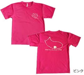 太極拳猫Ｔシャツ：ピンクの画像