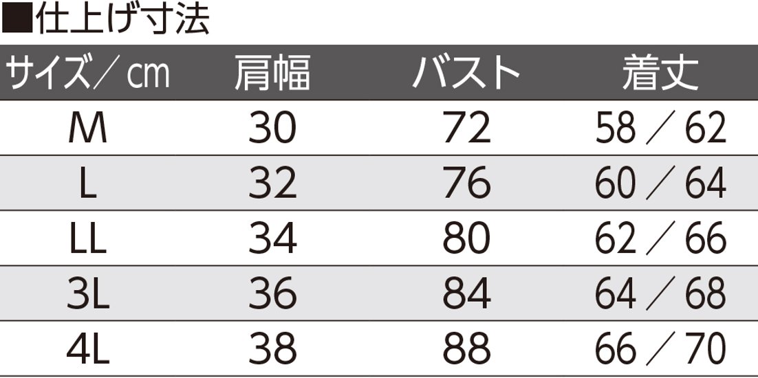 【婦人】ラン型インナー綿100％画像