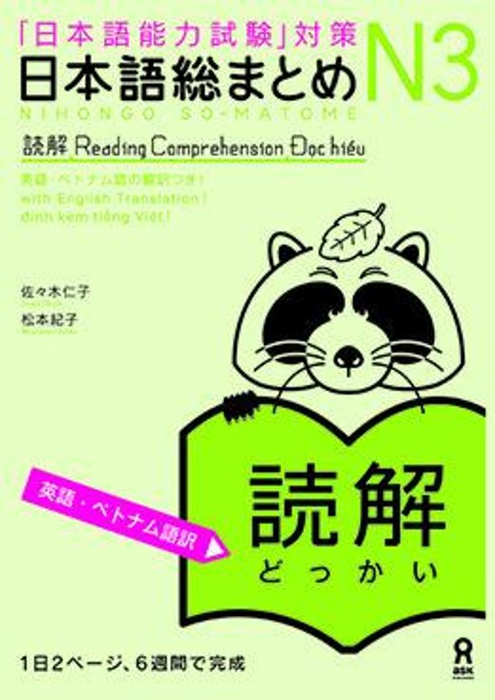 日本語総まとめ N３　読解 ≪英語・ベトナム語版≫画像