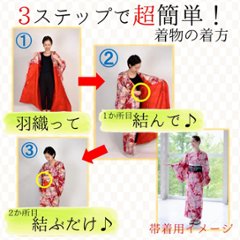 【日本製】（衿なし）高級夏着物 絽 [N042][STサイズ]着物単品画像