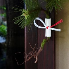 根引きの松　M画像
