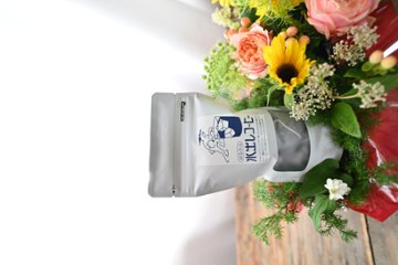 父の日に　お花 と 水出しコーヒーギフトセット　＜花心 x 越智商店＞の画像