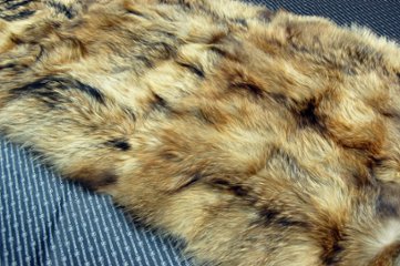 タヌキプレート　ナチュラルの画像