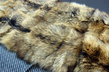 タヌキプレート　ナチュラルの画像