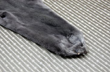 プラックトミンク原反　ダークグレー画像