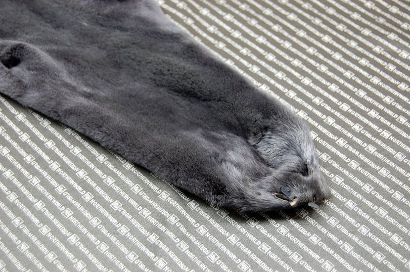 プラックトミンク原反　ダークグレー画像