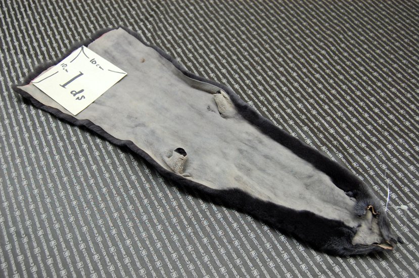 プラックトミンク原反　ダークグレー画像