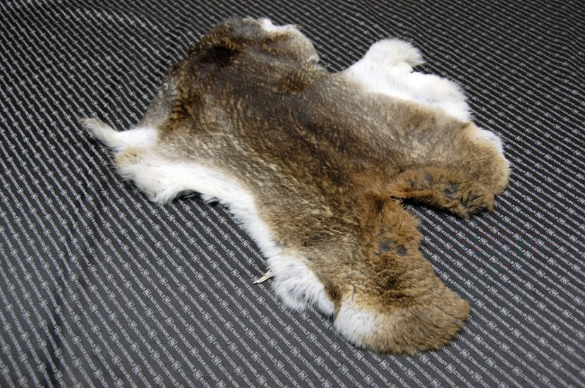 シェアードラビット原反　ゴマ(238)画像