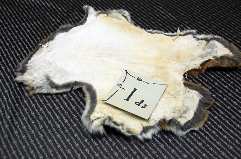 シェアードラビット原反　ゴマ(238)画像