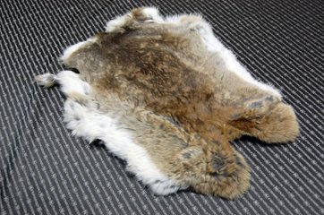 シェアードラビット原反　ゴマ(239)の画像