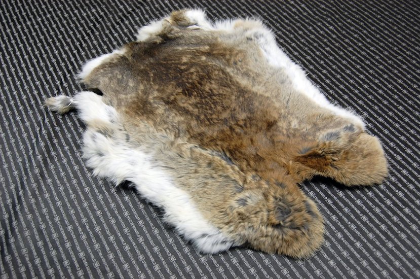 シェアードラビット原反　ゴマ(239)画像