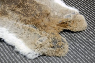 シェアードラビット原反　ゴマ(239)画像