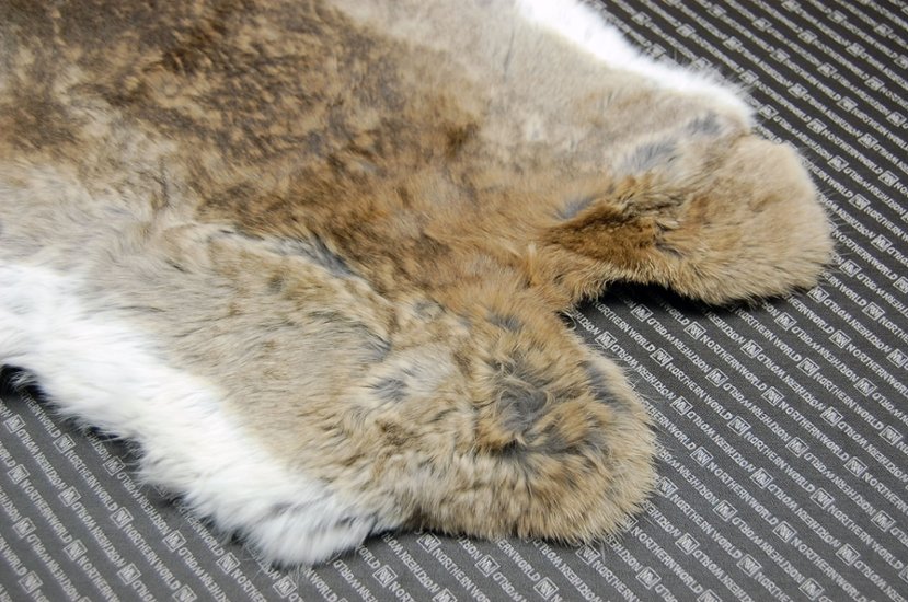 シェアードラビット原反　ゴマ(239)画像