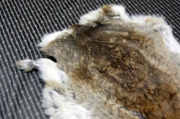 シェアードラビット原反　ゴマ(239)画像