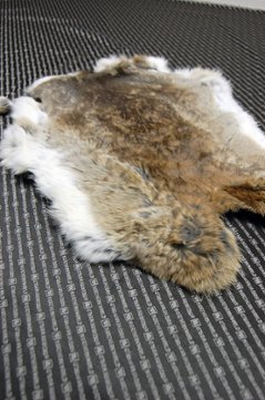 シェアードラビット原反　ゴマ(239)画像