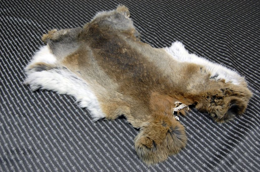 シェアードラビット原反　ゴマ(240)画像