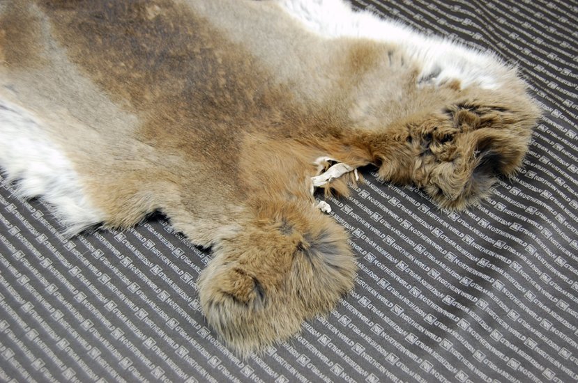 シェアードラビット原反　ゴマ(240)画像