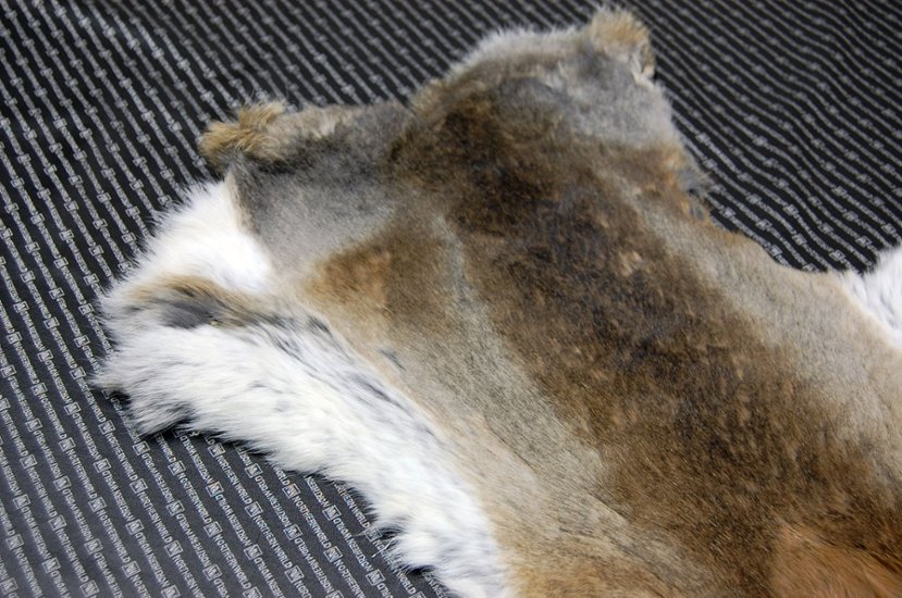 シェアードラビット原反　ゴマ(240)画像