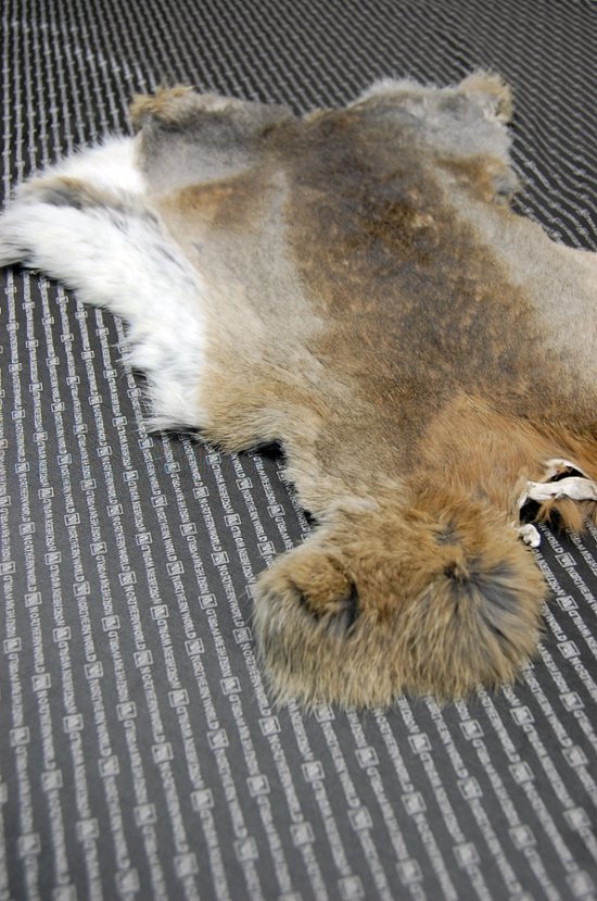 シェアードラビット原反　ゴマ(240)画像