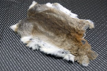 シェアードラビット原反　ゴマ(241)の画像