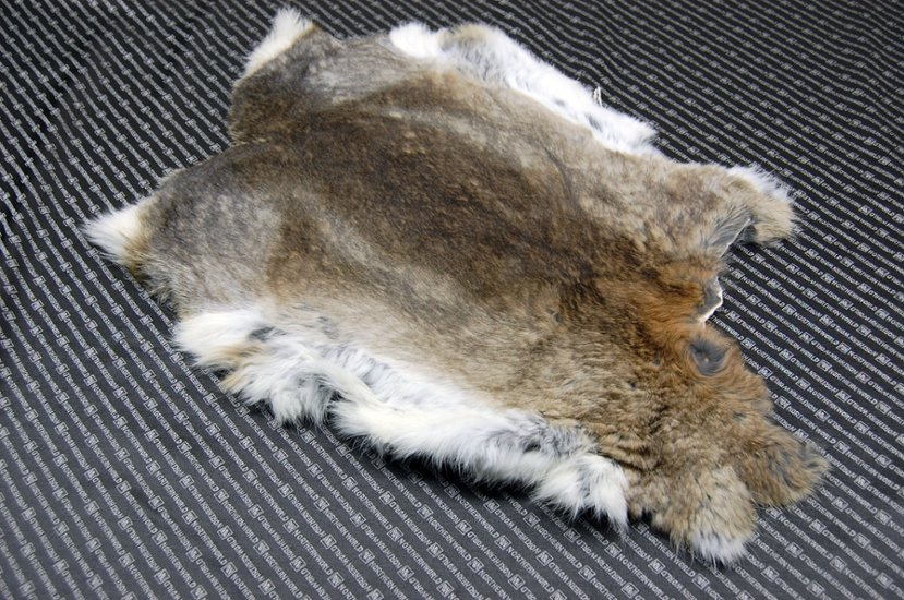 シェアードラビット原反　ゴマ(241)画像