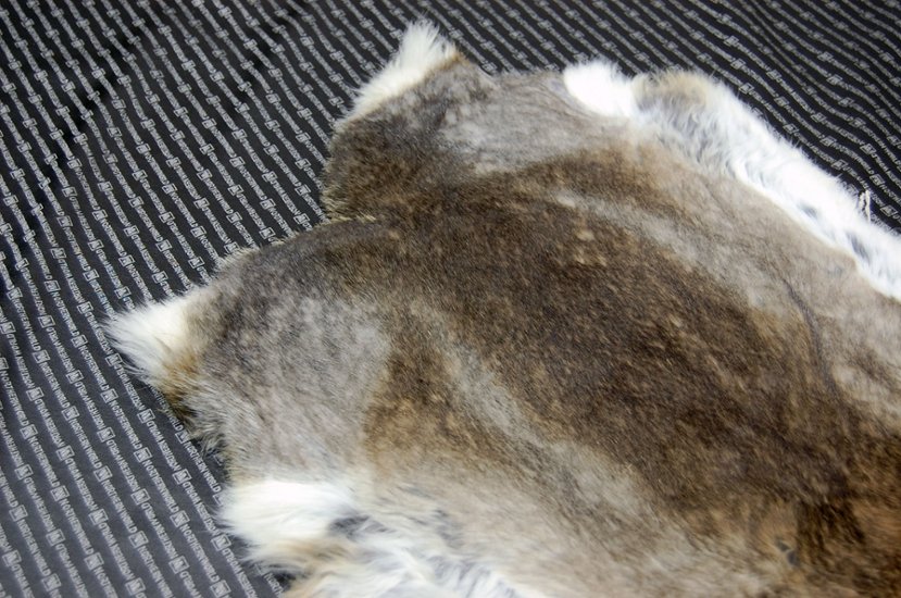 シェアードラビット原反　ゴマ(241)画像