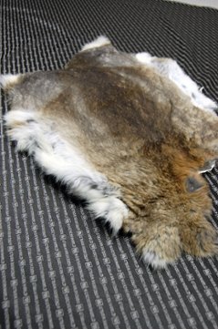 シェアードラビット原反　ゴマ(241)画像