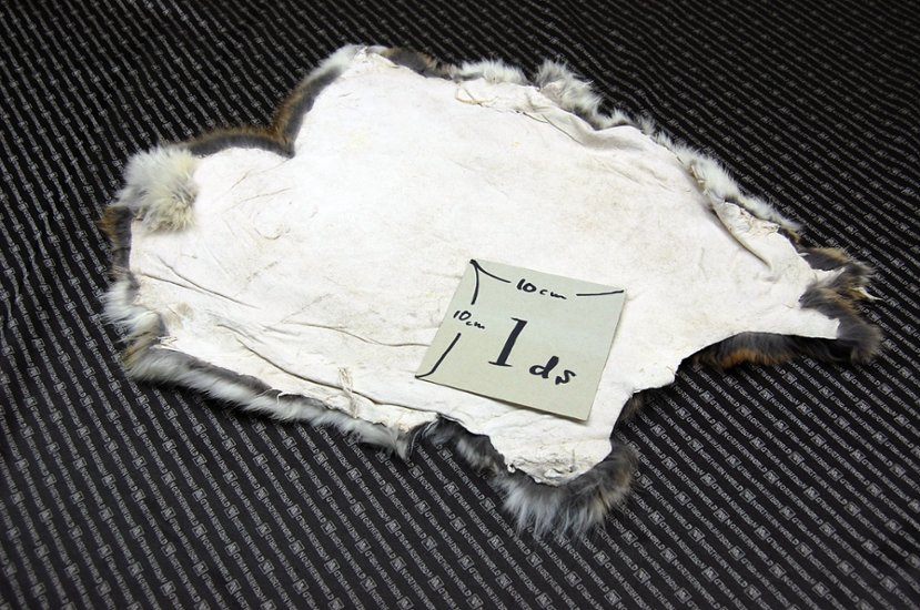 シェアードラビット原反　ゴマ(241)画像