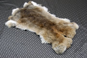 シェアードラビット原反　ゴマ(242)の画像