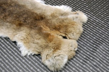 シェアードラビット原反　ゴマ(242)画像