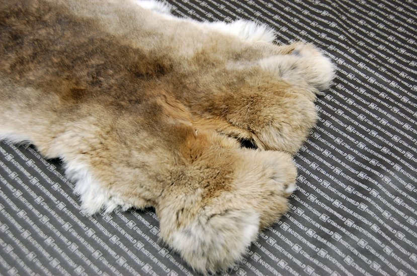 シェアードラビット原反　ゴマ(242)画像